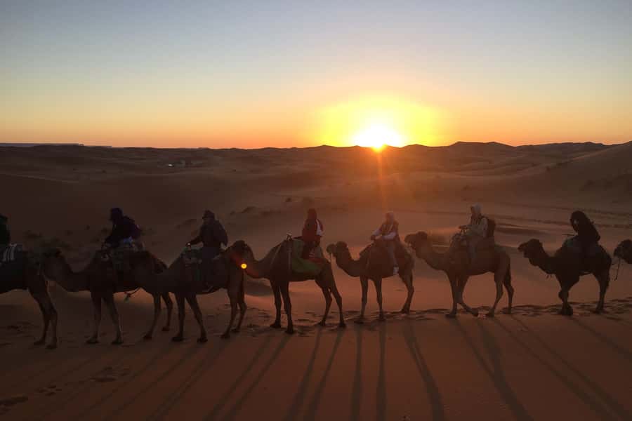 From Marrakech: 2-Day Sahara Tour to Zagora & Ait Ben Haddou - Draa Valley: palms, fortified villages, then sand cues