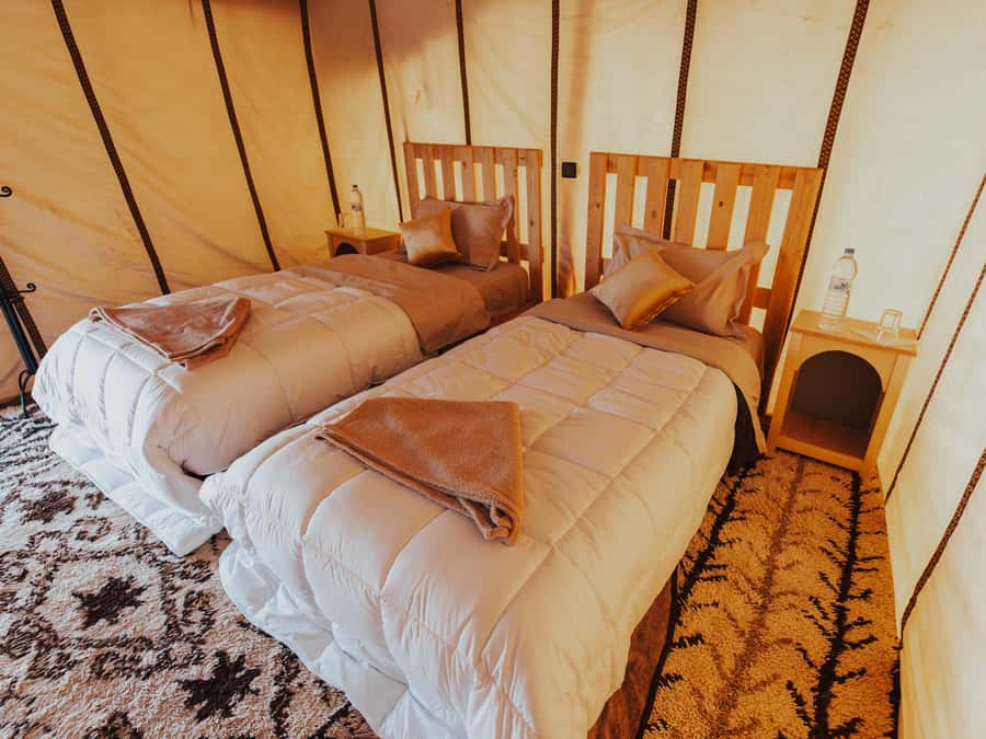From Marrakech: 2-Day Zagora Desert Camp Trip - Price and Logistics: What You’re Paying For