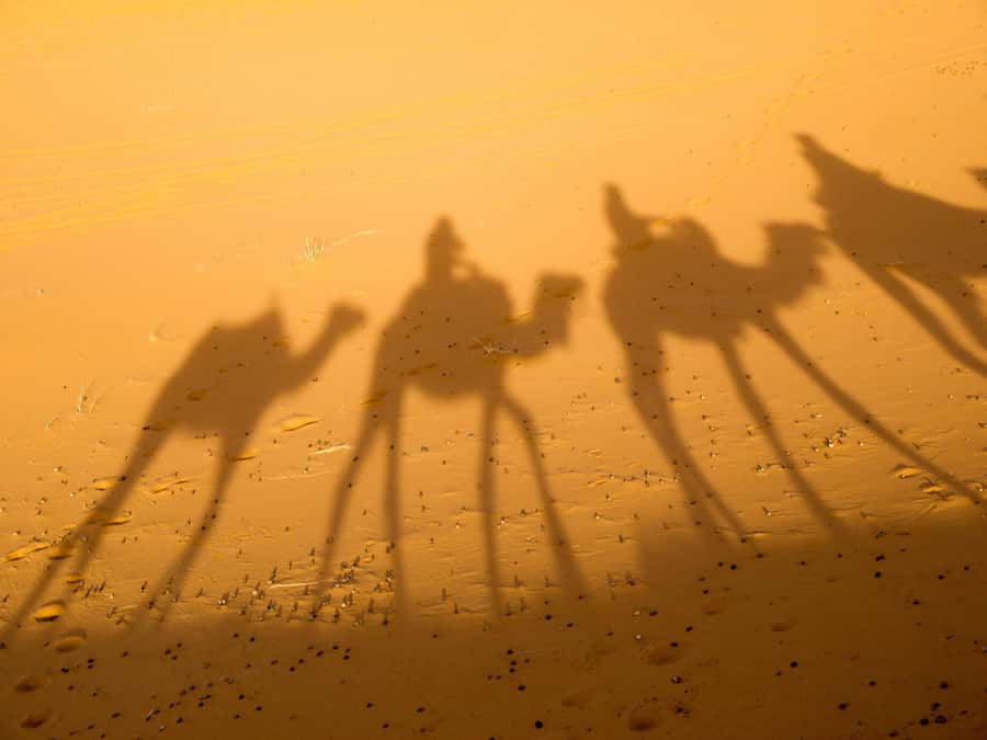 From Marrakech: 2-Day Zagora Desert Camp Trip - Day Two Sunrise, Breakfast, and the Camel Ride Back