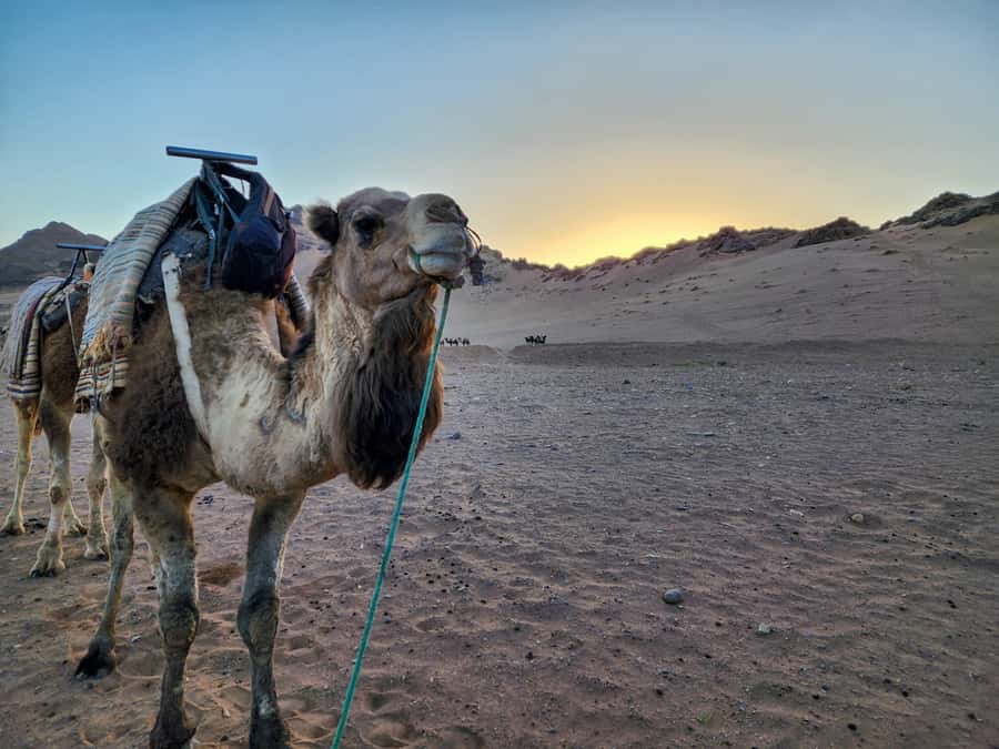 From Marrakech: 2-Days luxurious experience to Zagora Desert - Berber Camp Overnight: Private Tents, Clean Bathrooms, and Fire Time