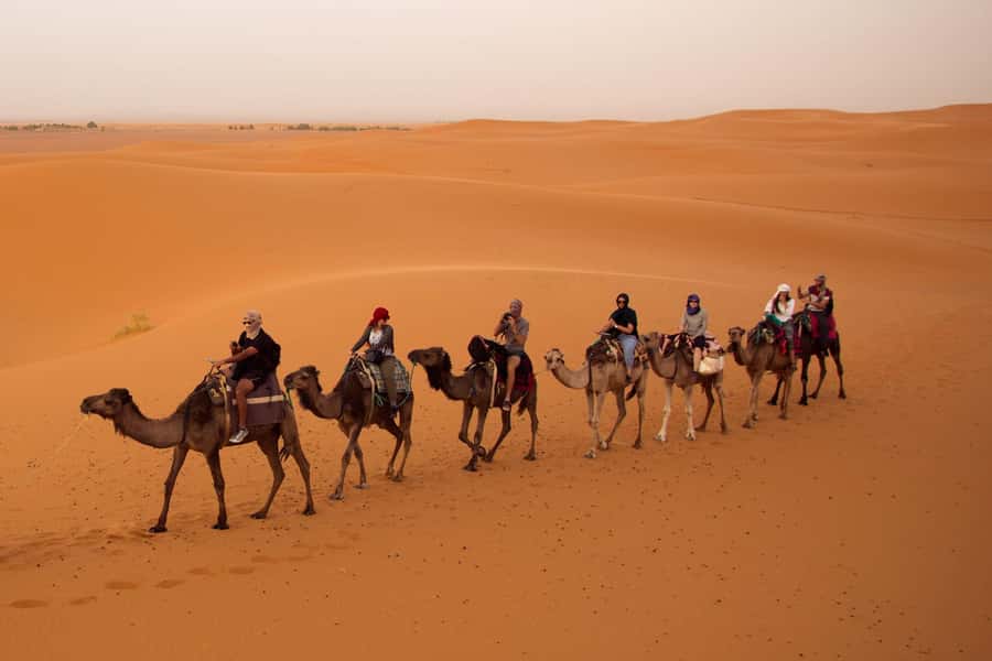 From Marrakech: 3-Day Desert Tour to Fes via Erg Chebbi - Key highlights worth planning for