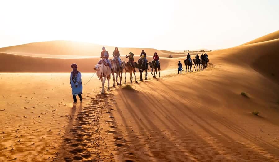 From Marrakech: 3-Day Luxury Desert Tour to Fes via Merzouga - Key highlights worth noting