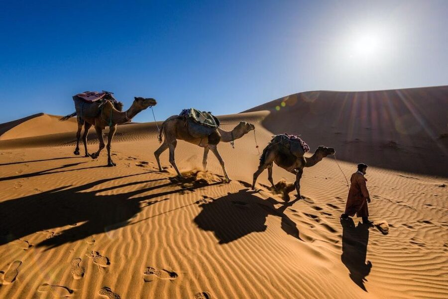 From Marrakech: 3-Day Luxury Desert Tour to Fes via Merzouga - Best fit: who will love this tour, and who should think twice