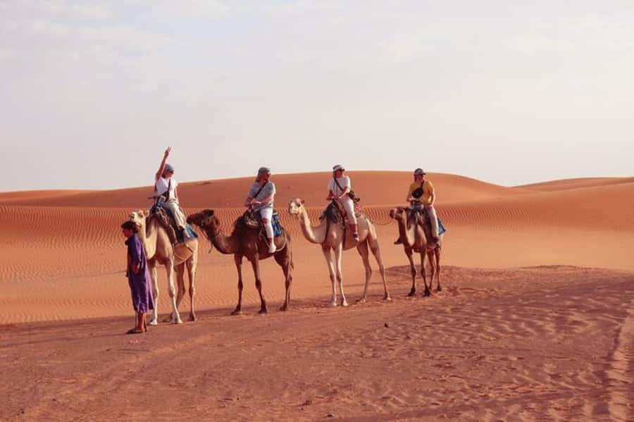 From Marrakech: 3-Day Stay in the Merzouga Desert - Marrakech to Merzouga, what this trip gets right