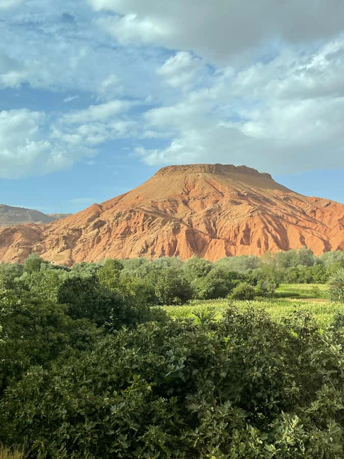 From Marrakech: 3-Day Tour To Magical Desert Merzouga - Driving Back Toward Marrakech, Plus Timing for Your Final Evening