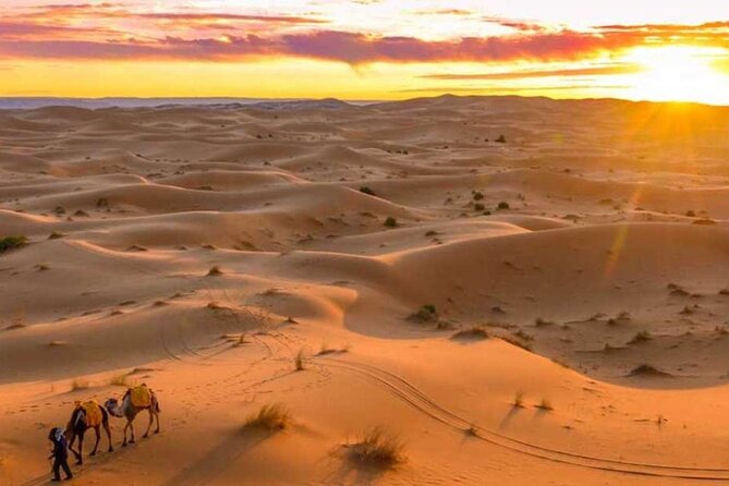 From Marrakech : 3 Days Desert Tour To Fes - Rose Village and the road of roses: a welcome change of pace