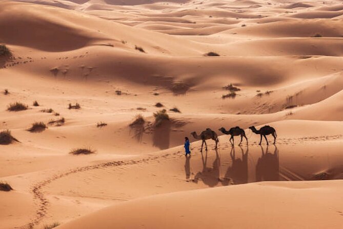 From Marrakech : 3 Days Desert Tour To Fes - Price and value: why $197.09 can be fair for this route