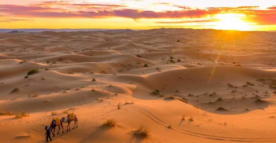 From Marrakech: 3 Days Desert Tour To Merzouga Luxury Camp - Camel ride into Erg Chebbi: what luxury camp really means here