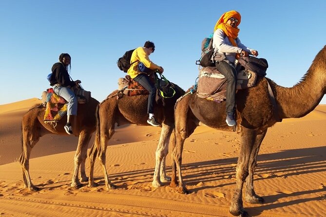 From Marrakech 3 Days Tour To Merzouga Sahara Desert - Who should book this tour, and who should skip it