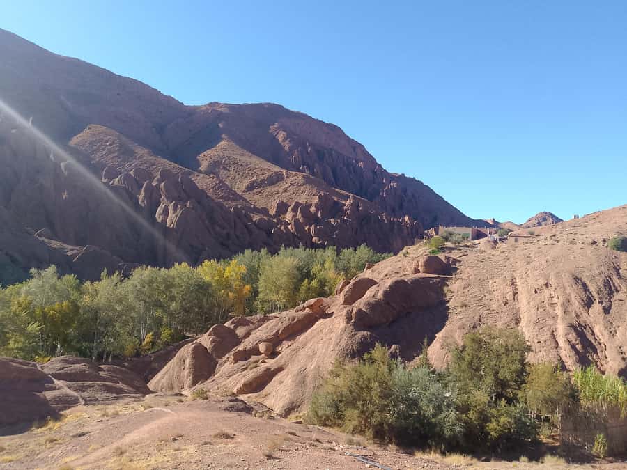 From Marrakech: 4-Day Morocco Sahara Desert Experience - What to pack (and what not to) so the days stay easy