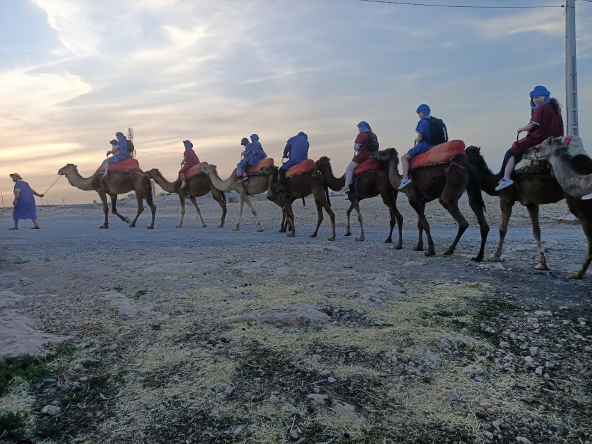 From Marrakech: 4-Day Morocco Sahara Desert Experience - Todra Gorges and Tinghir palms: when Morocco turns green