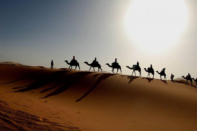 From Marrakech 4 Days Tour To Morocco Sahara Desert - Sunrise back on the camels, then the return to the Atlas valleys