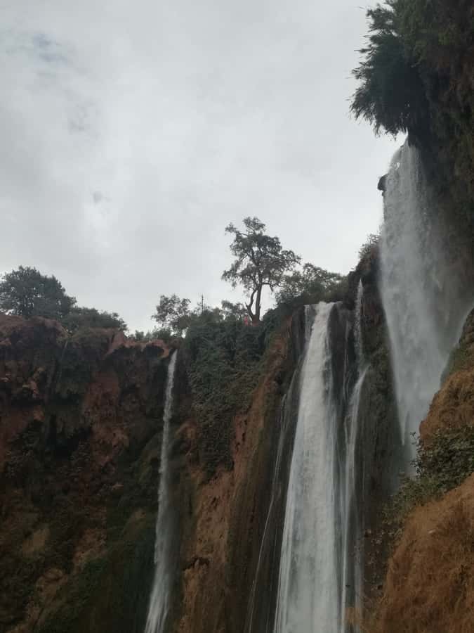 From Marrakech: A day Trip to Ouzoud waterfalls - What makes the Ouzoud experience special once you arrive
