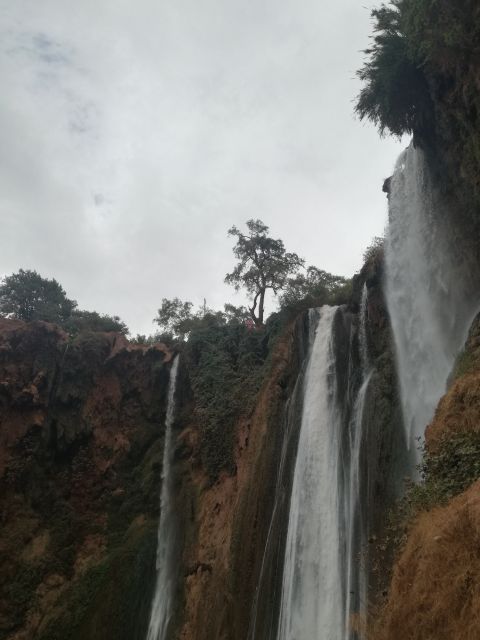 From Marrakech: A day Trip to Ouzoud waterfalls - Wildlife, water, and photos: practical tips that keep the day fun