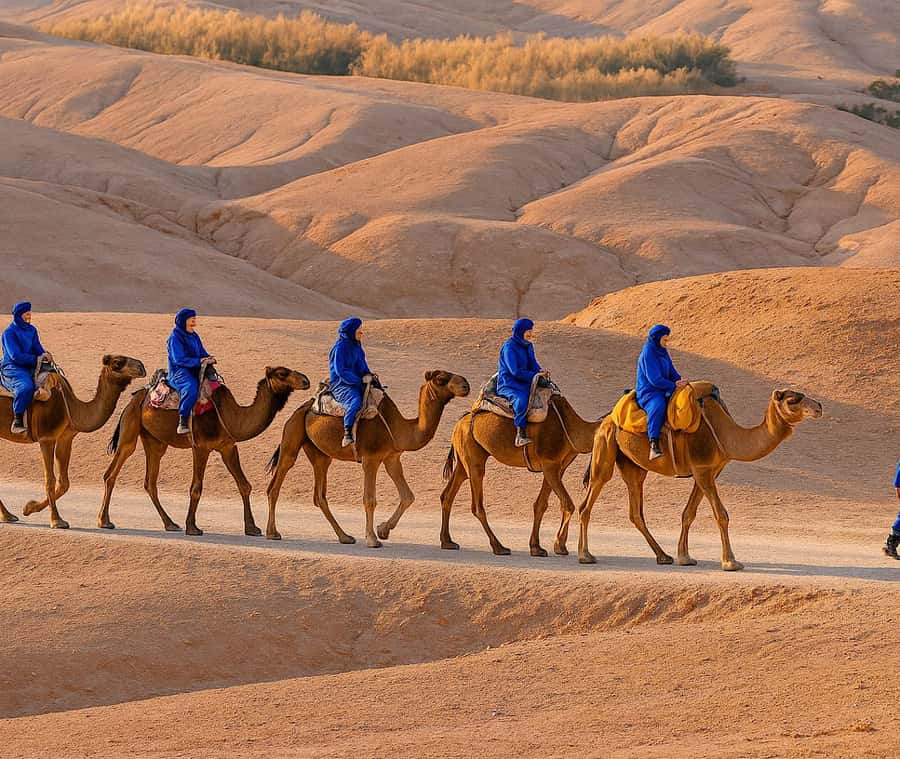 From Marrakech: Agafay Desert Dinner and Optional Camel Ride - Quick hits