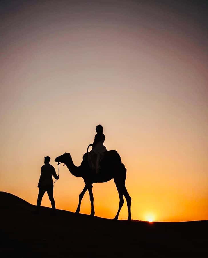 From Marrakech: Agafay Desert Dinner and Optional Camel Ride - Price and Value for What You Actually Get