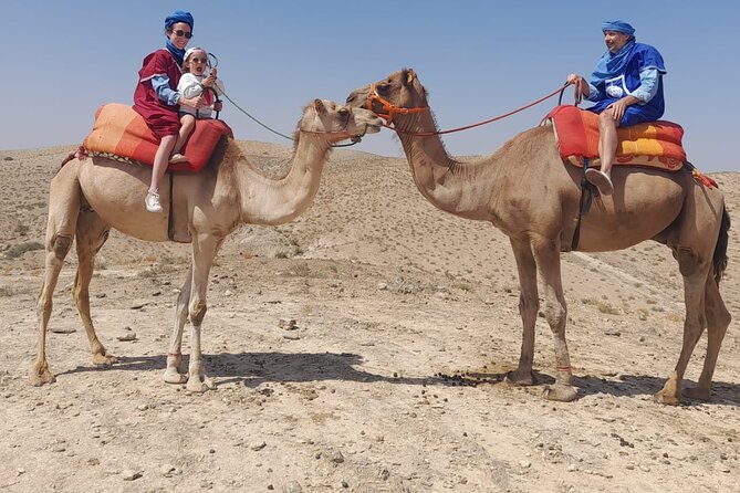 From Marrakech: Agafay Desert Dinner with Camel Ride - Agafay at sunset: the desert vibe you are really paying for