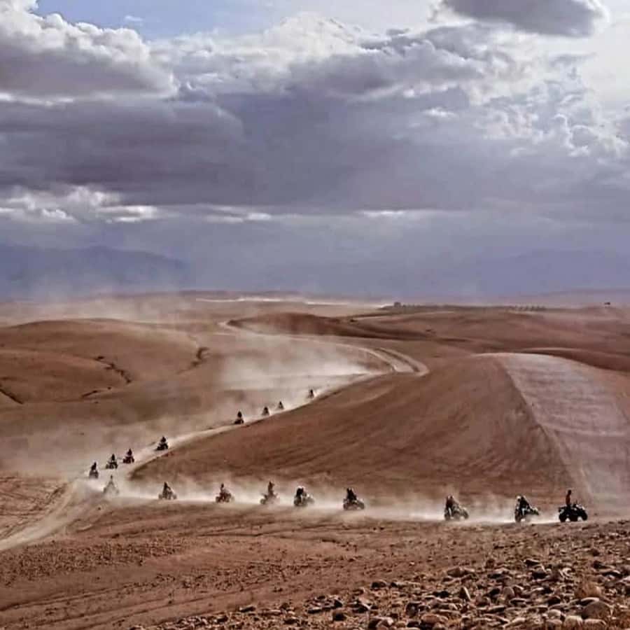 From Marrakech: Agafay Desert Dinner with Quad & Camel Ride - Dinner under the stars: Moroccan dishes, mint tea, and live entertainment