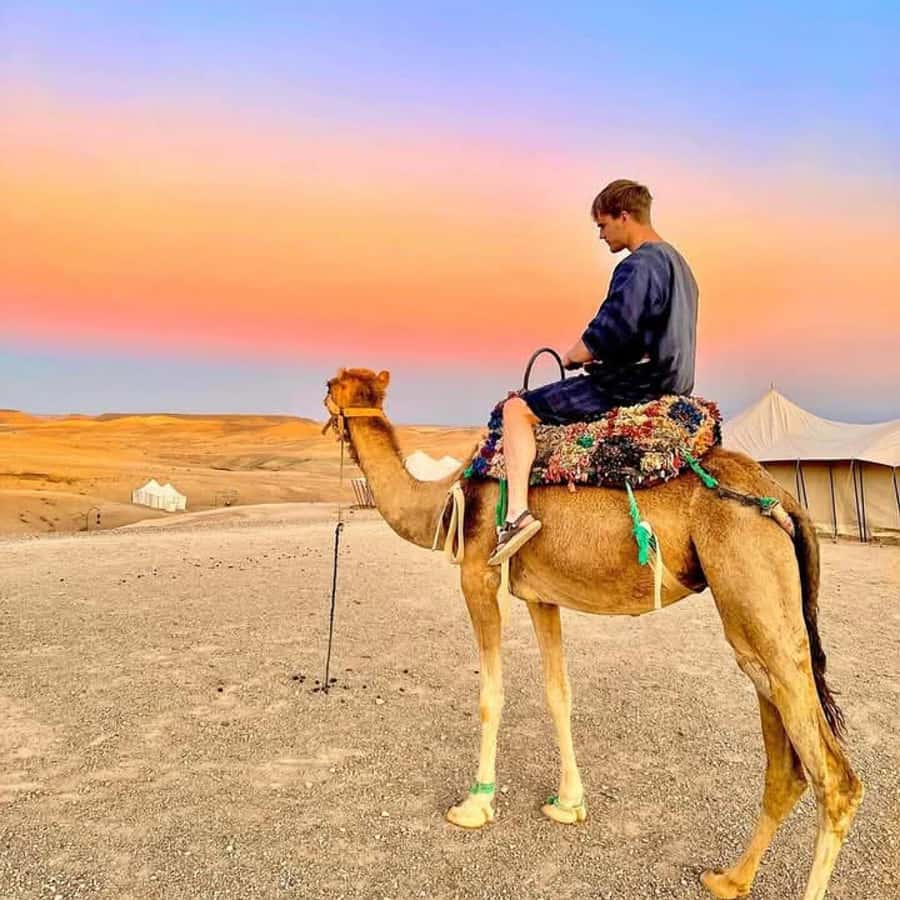From Marrakech: Agafay Desert Dinner with Quad & Camel Ride - Pickup windows and the 7-hour rhythm