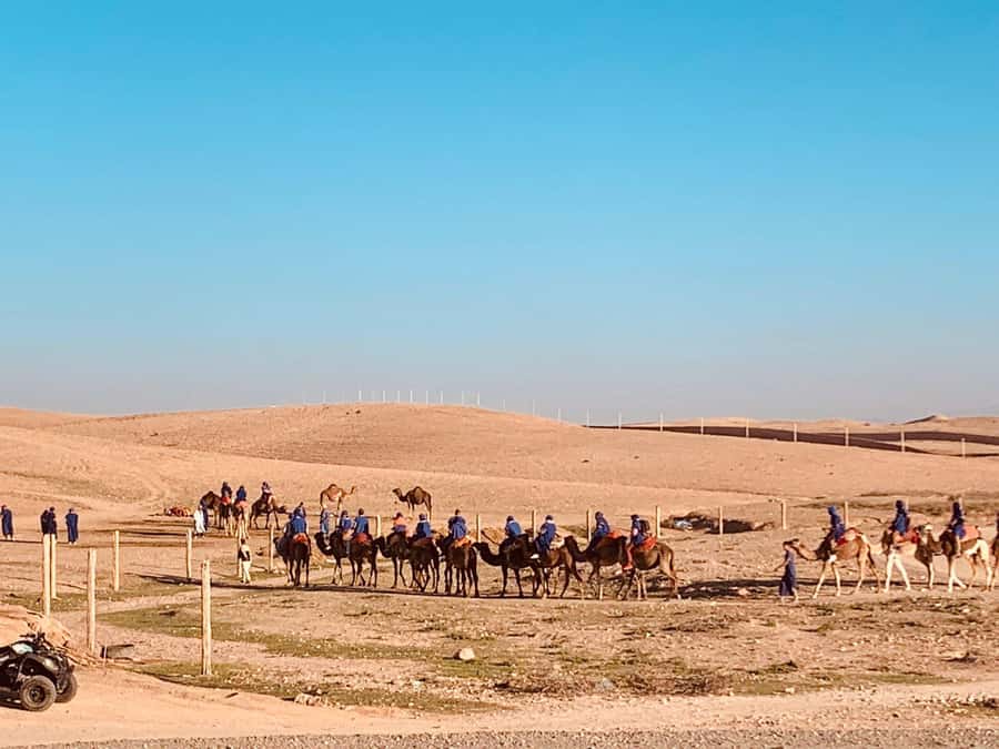 From Marrakech: Agafay Desert Sunset, Camel Ride, and Dinner - Pickup in Gueliz and the ride out to Agafay