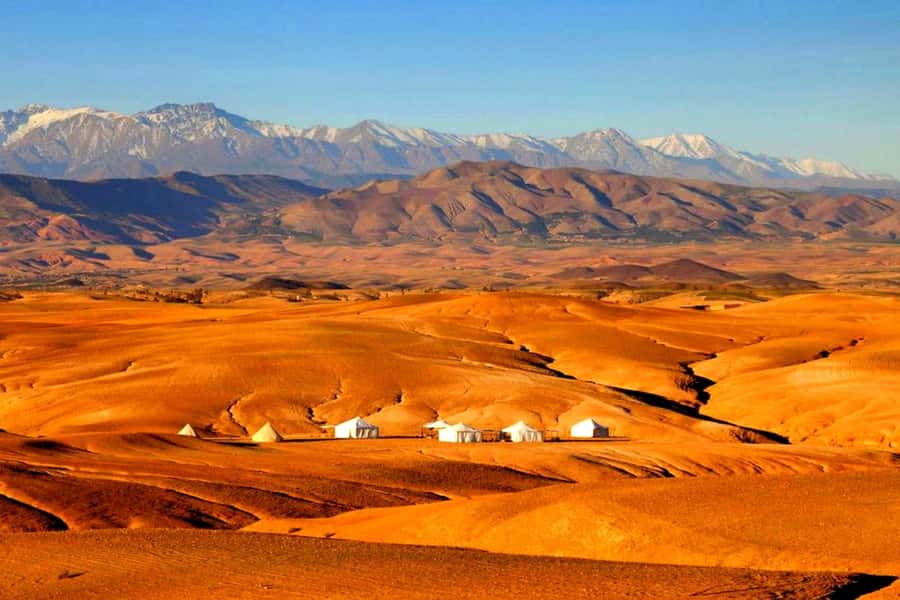 From Marrakech : Agafay Desert Sunset Dinner with Camel Ride - Dinner under desert stars, with Berber music and bonfire energy