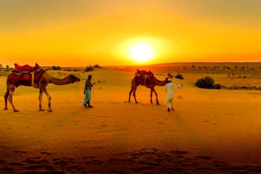 From Marrakech : Agafay Desert Sunset Dinner with Camel Ride - The camp details, plus the one included surprise: a pool