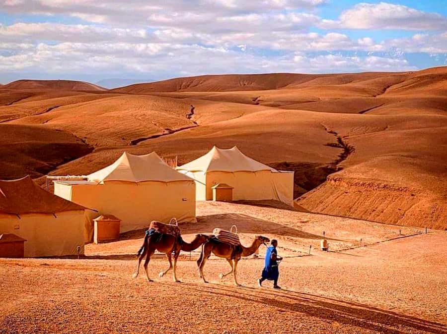From Marrakech : Agafay Desert Sunset Dinner with Camel Ride - Price and value of the $34 per person sunset package