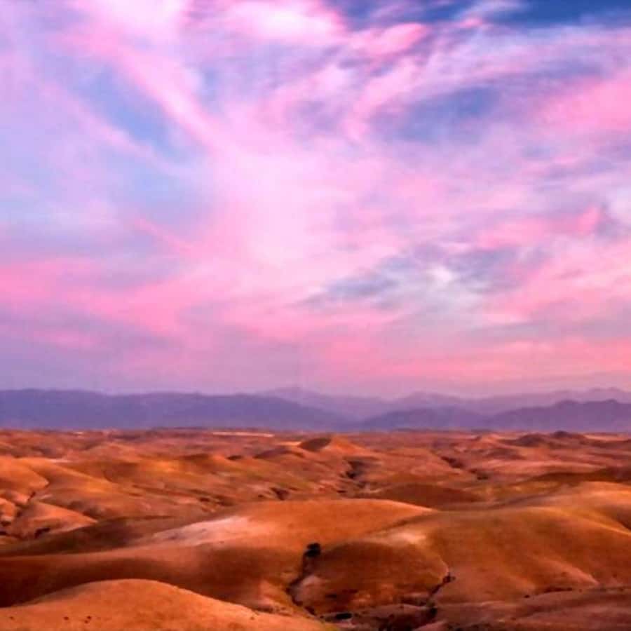 From Marrakech: Agafay Desert Sunset Dinner with Live Show - Who Should Book This Agafay Sunset Dinner Tour?