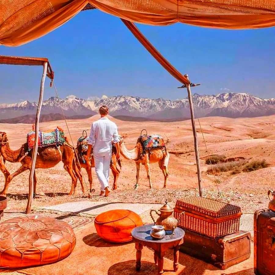 From Marrakech: Agafay Desert Sunset Dinner with Live Show - From Marrakech to Agafay: Mint Tea and a Desert-Edge Evening Plan