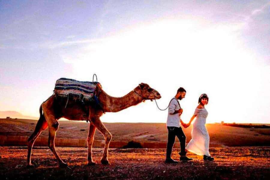 From Marrakech: Agafay Desert Sunset Dinner with Live Show - Dinner in the Desert: Tagines, Harira, Couscous, and Vegetarian Options
