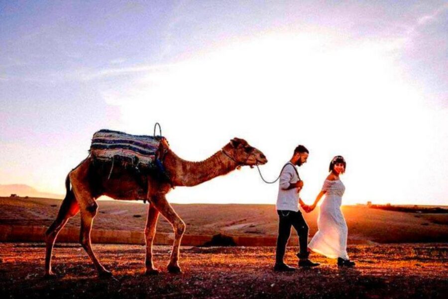 From Marrakech: Agafay Desert Sunset Dinner with Live Show - Price and Value: Why $27 Can Still Feel Like a Deal