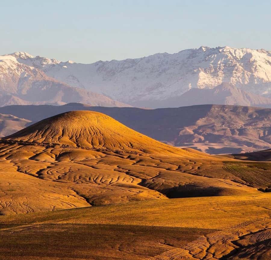 From Marrakech: Agafay Sunset Camel Tour with Dinner & Show - FAQ
