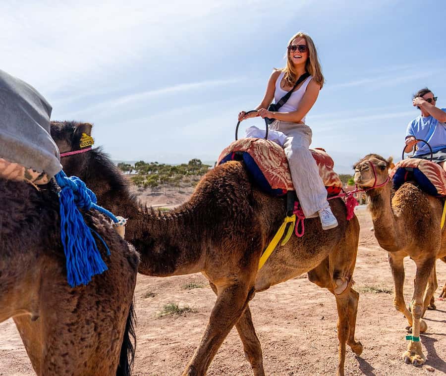 From Marrakech: Agafay Sunset Camel Tour with Dinner & Show - Dinner buffet in a Berber tent: what you’ll likely taste and how to enjoy it
