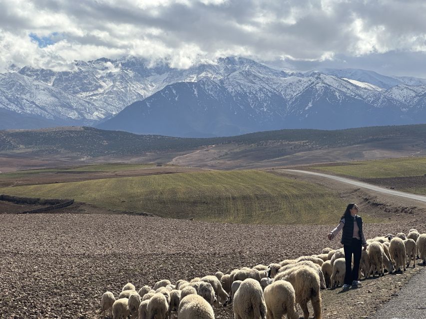 From Marrakech: Atlas Mountains 4-Day Hike with Hotels - Key things I’d plan around on this trek