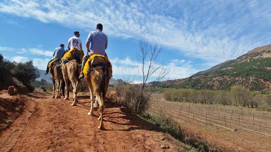From Marrakech: Atlas Mountains 45-Minute Horseback Ride - Key highlights in plain terms