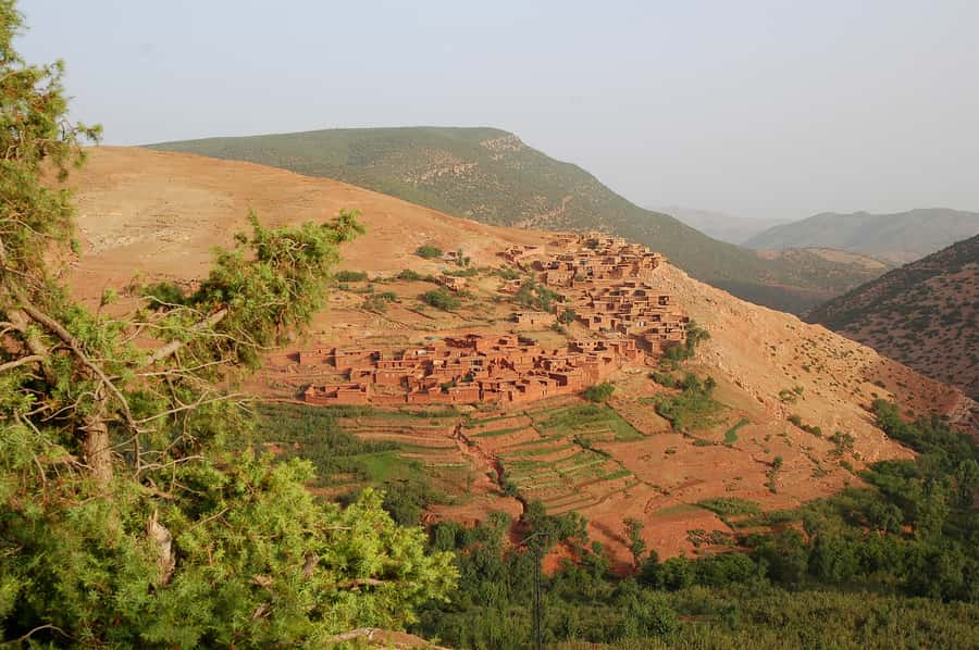 From Marrakech: Atlas Mountains 45-Minute Horseback Ride - The morning drive to Tahnaout, and the first dose of mountain calm