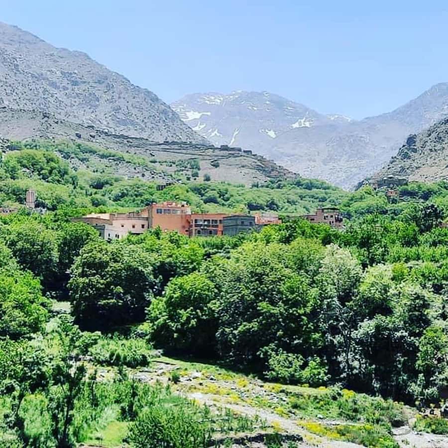 From Marrakech: Atlas Mountains and Berber Village Day Trip - Price and value: why $53 makes sense here