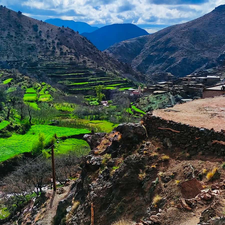 From Marrakech: Atlas Mountains and Berber Village Day Trip - Tahnaout and the argan oil co-operative: more than a quick photo stop