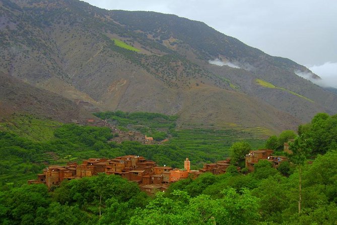 From Marrakech: Atlas Mountains and Berber Villages Day Trip - Camel ride time, mule team support, and crossing village roads