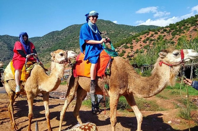 From Marrakech: Atlas Mountains and Berber Villages Day Trip - Price and value: why $22.10 can feel like a bargain