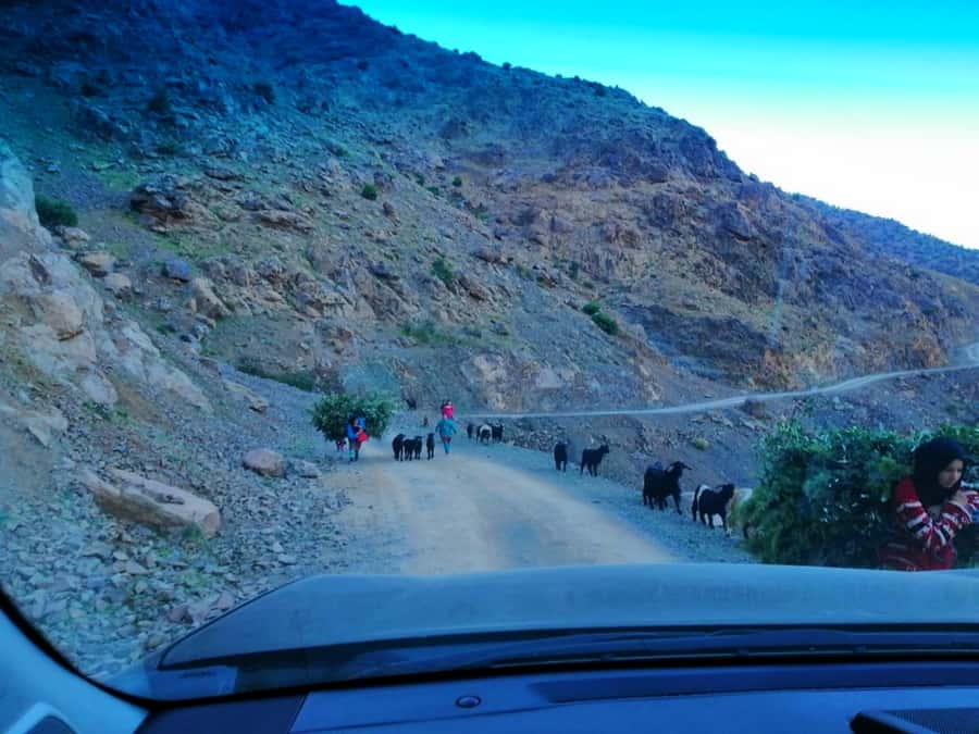 From Marrakech: Atlas Mountains and Three Valleys Day Trip - Should you book this Marrakech Atlas and Agafay day trip?
