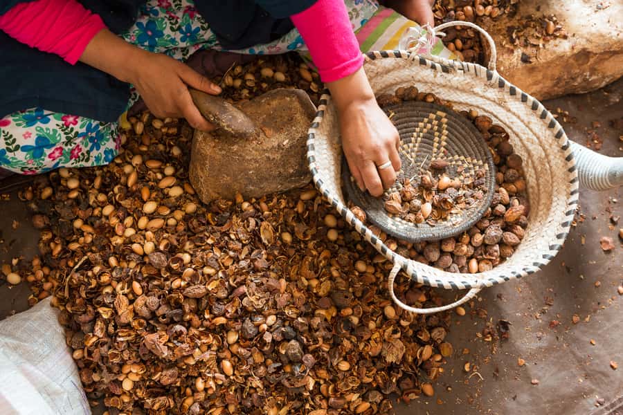 From Marrakech: Atlas Mountains Day Trip with Camel Ride - Marrakech to the High Atlas, what this day trip really delivers