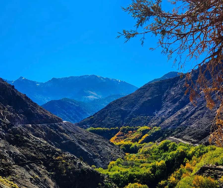 From Marrakech: Atlas Mountains Day Trip with Camel Ride - Walking the Imlil area: waterfalls, hamlets, and what to wear