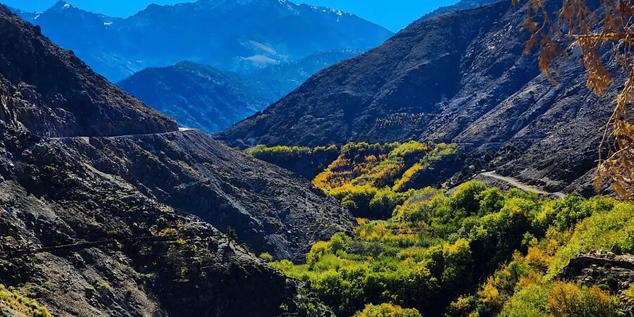 From Marrakech: Atlas Mountains Day Trip with Camel Ride - Tamatert viewpoints and the irrigated terraces you can actually understand