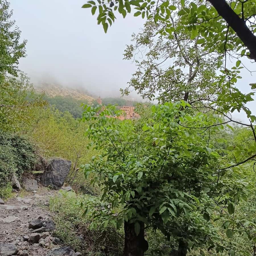 From Marrakech: Atlas Mountains Summit Trek - Fitness Reality Check: Who This Is For (and Who Should Skip It)