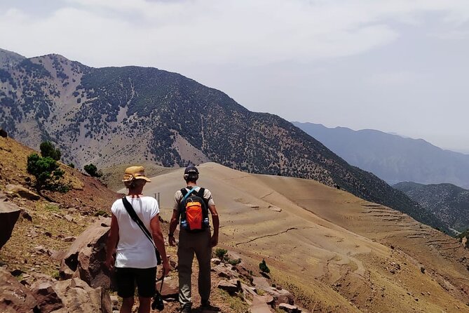 From Marrakech: Atlas Mountains Talamrout Summit day hike & Trek - The lunch stop during the descent: vegetarian options that actually matter