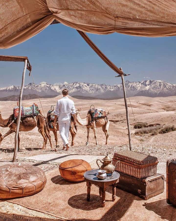 From Marrakech: Camel, Quad Bike Tour, Sunset, Dinner & Show - Sunset camel ride: the calm part people remember
