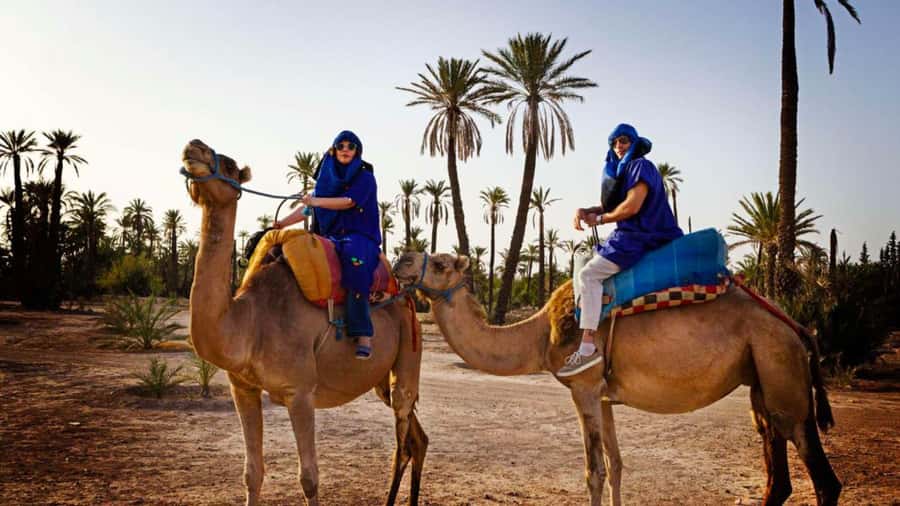 From Marrakech: Camel ride in the oasis palmeraie Grove - Tea Time in a Berber House, the Moment That Changes the Trip