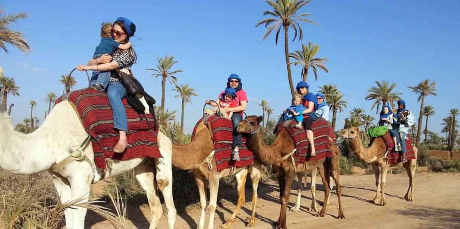 From Marrakech: Camel ride in the oasis palmeraie Grove - Nomadic Clothing and the Sheish Scarf, Small Touch With Big Payoff