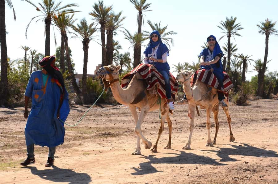 From Marrakech: Camel ride in the oasis palmeraie Grove - Price and Value, Why $18 Can Be a Good Deal